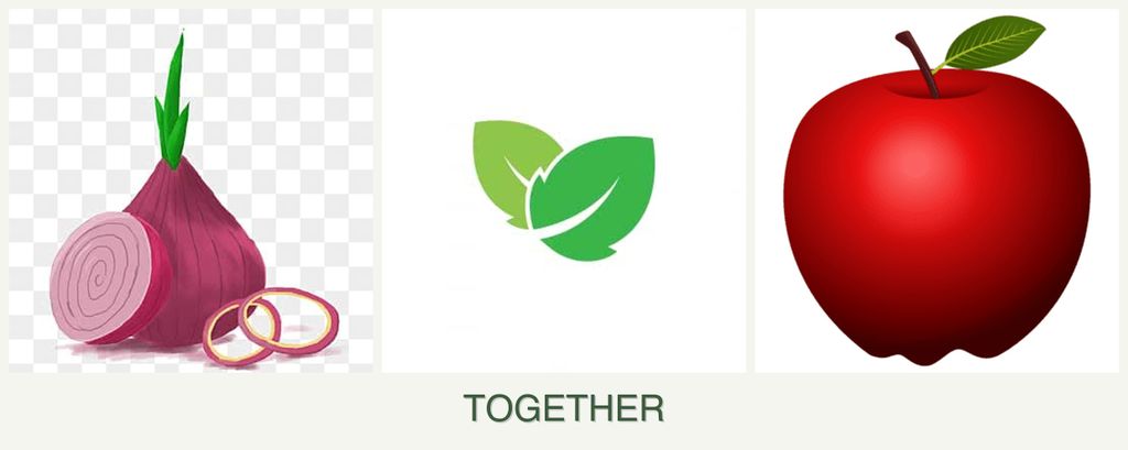 Can you plant onions, mint and apples together?