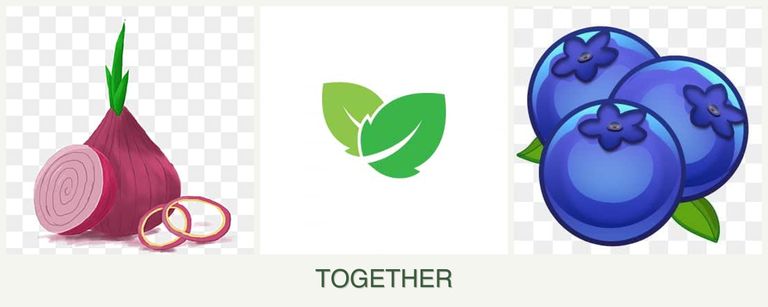 Can you plant onions, mint and blueberries together?