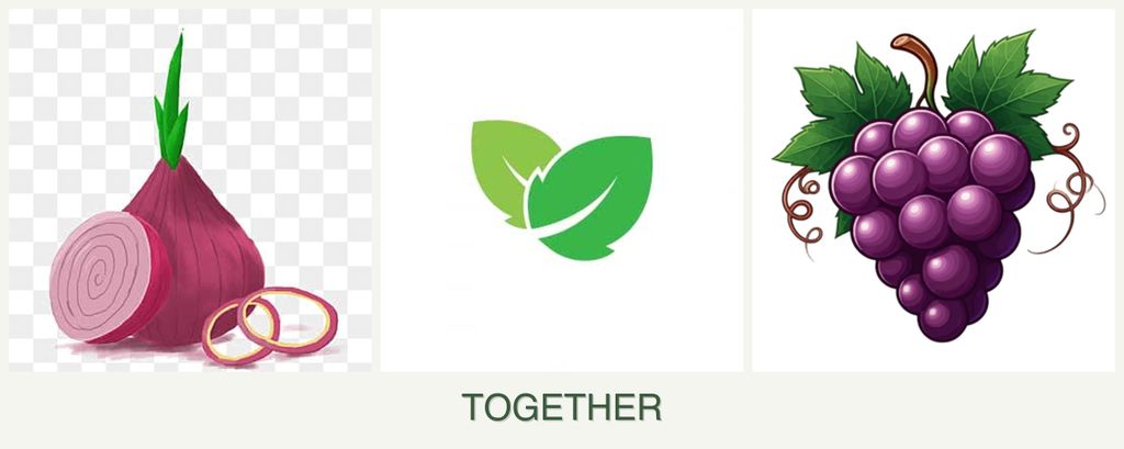 Can you plant onions, mint and grapes together?