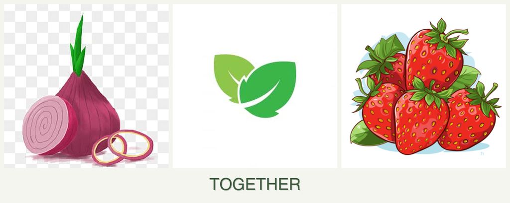 Can you plant onions, mint and strawberries together?