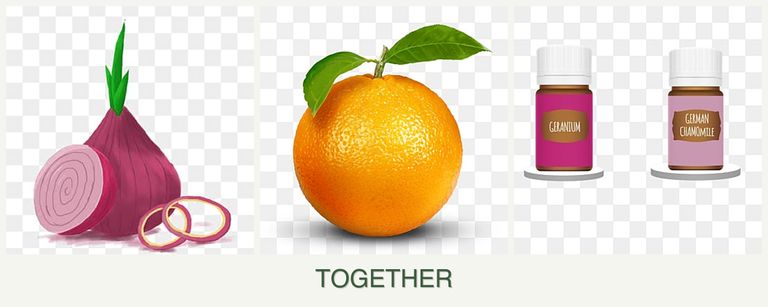 Can you plant onions, oranges and geraniums together?