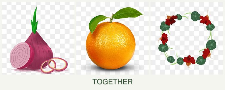 Can you plant onions, oranges and nasturtiums together?