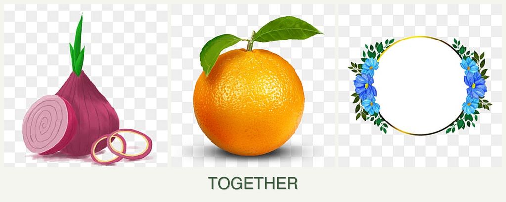 Can you plant onions, oranges and zinnias together?