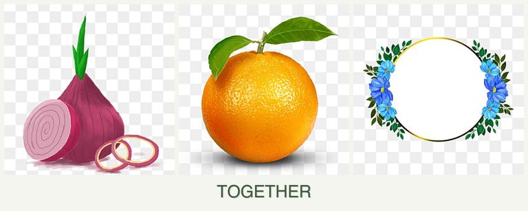 Can you plant onions, oranges and zinnias together?