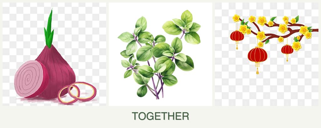 Can you plant onions, oregano and apricots together?