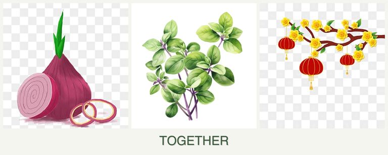 Can you plant onions, oregano and apricots together?