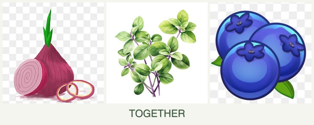 Can you plant onions, oregano and blueberries together?