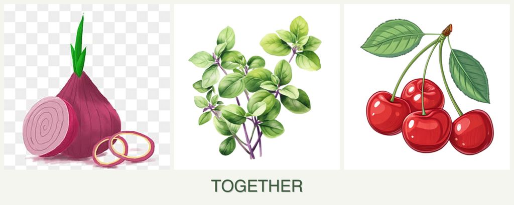 Can you plant onions, oregano and cherries together?