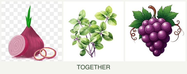 Can you plant onions, oregano and grapes together?