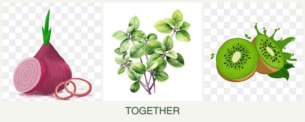 Can you plant onions, oregano and kiwi together?