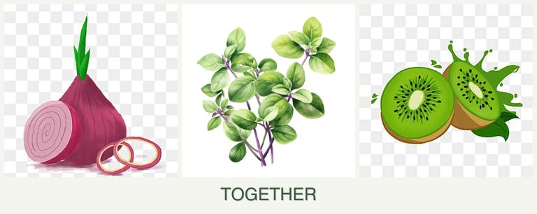 Can you plant onions, oregano and kiwi together?