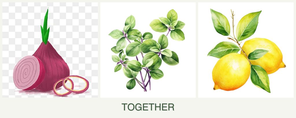 Can you plant onions, oregano and lemons together?