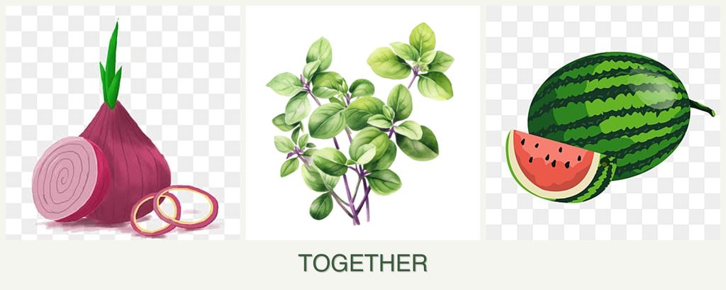 Can you plant onions, oregano and melons together?