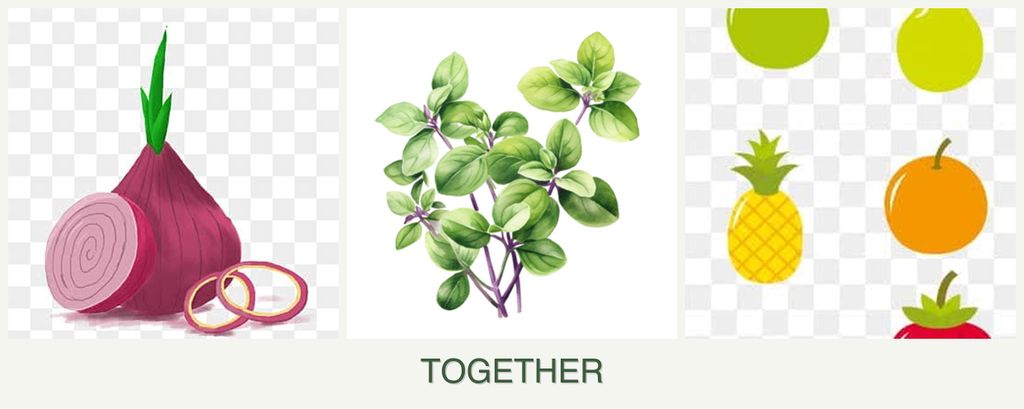 Can you plant onions, oregano and pears together?