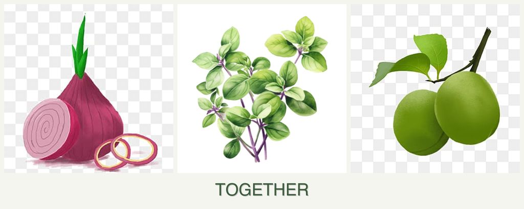 Can you plant onions, oregano and plums together?