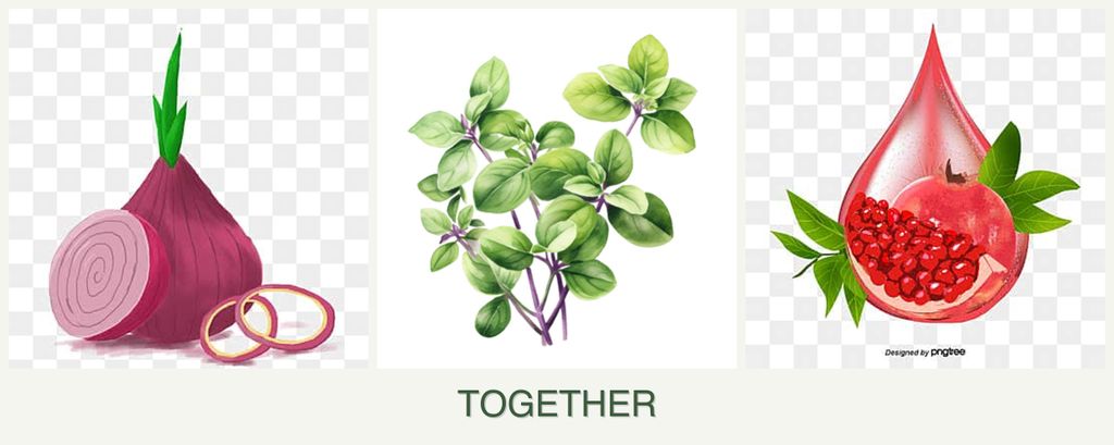 Can you plant onions, oregano and pomegranates together?