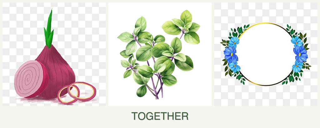 Can you plant onions, oregano and zinnias together?