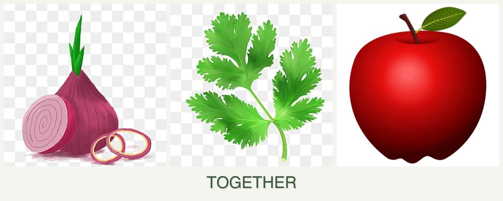 Can you plant onions, parsley and apples together?