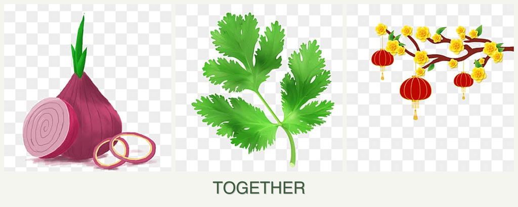 Can you plant onions, parsley and apricots together?