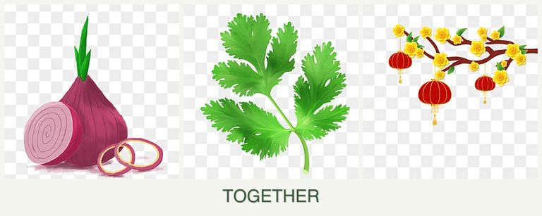 Can you plant onions, parsley and apricots together?