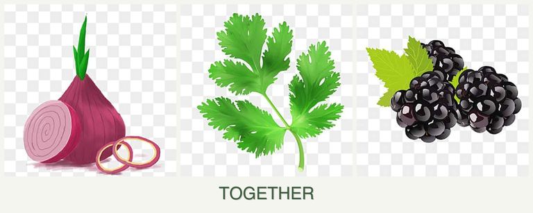 Can you plant onions, parsley and blackberries together?