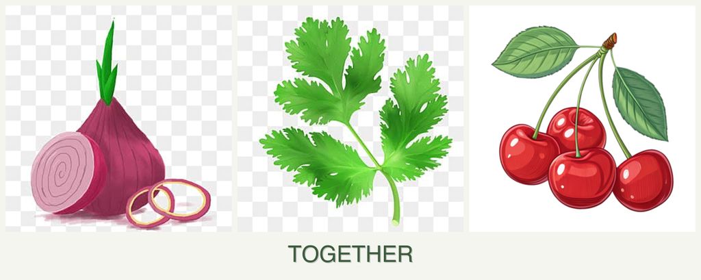 Can you plant onions, parsley and cherries together?