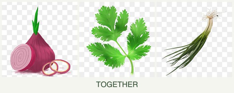 Can you plant onions, parsley and chives together?
