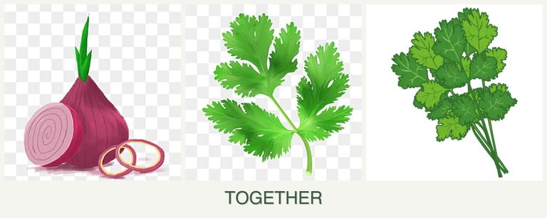 Can you plant onions, parsley and cilantro together?