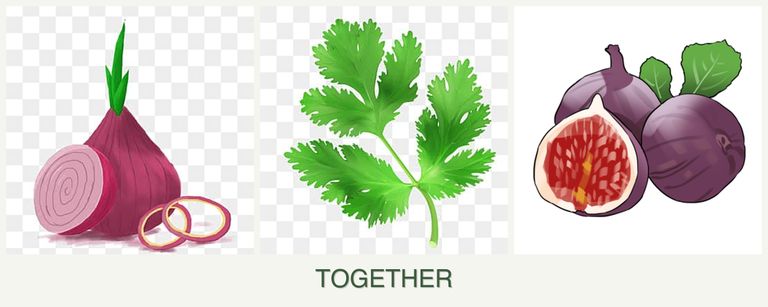 Can you plant onions, parsley and figs together?