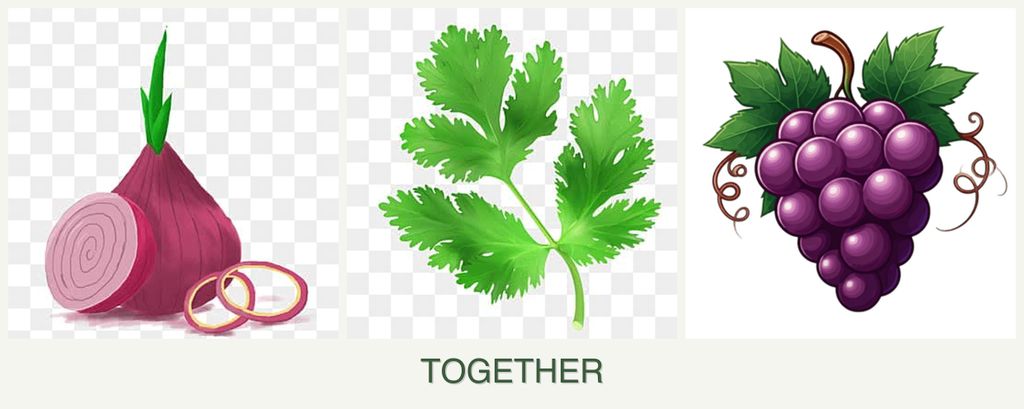Can you plant onions, parsley and grapes together?