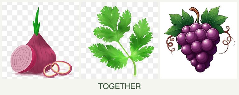Can you plant onions, parsley and grapes together?