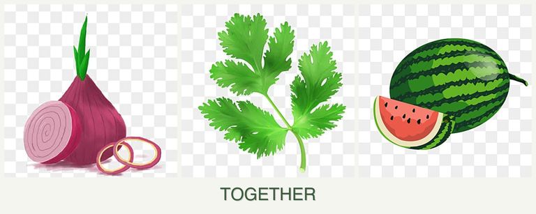 Can you plant onions, parsley and melons together?
