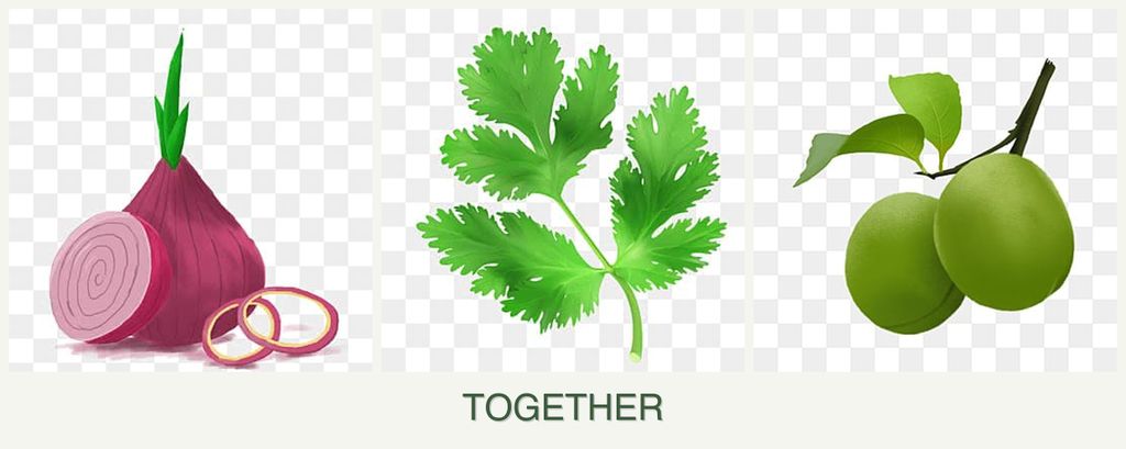 Can you plant onions, parsley and plums together?