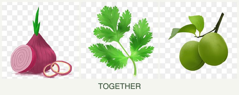 Can you plant onions, parsley and plums together?