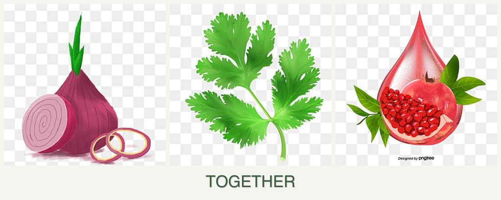 Can you plant onions, parsley and pomegranates together?