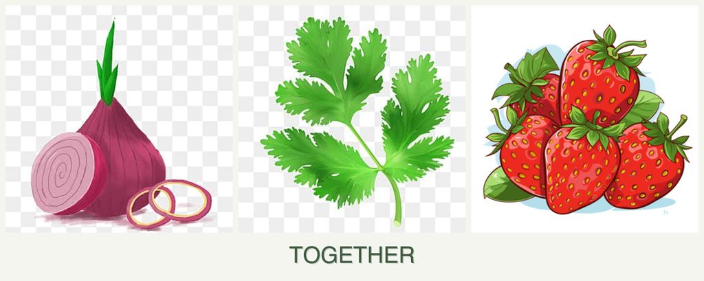 Can you plant onions, parsley and strawberries together?