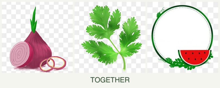 Can you plant onions, parsley and watermelons together?