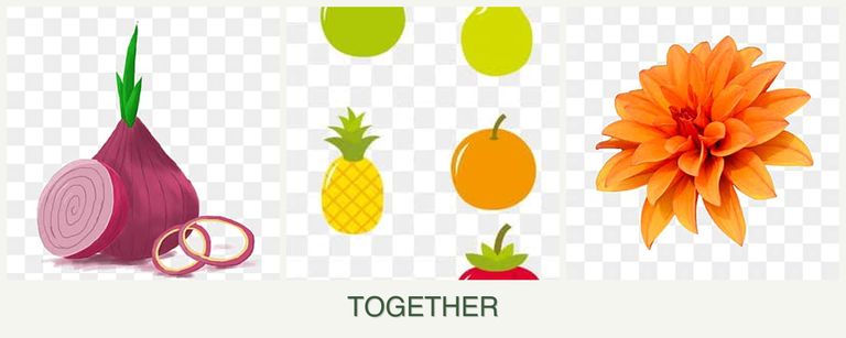 Can you plant onions, pears and dahlias together?