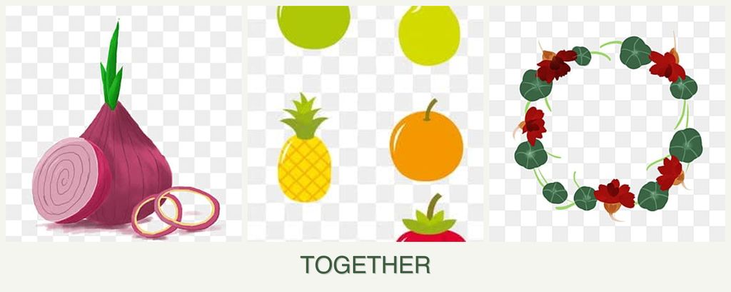 Can you plant onions, pears and nasturtiums together?