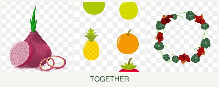 Can you plant onions, pears and nasturtiums together?