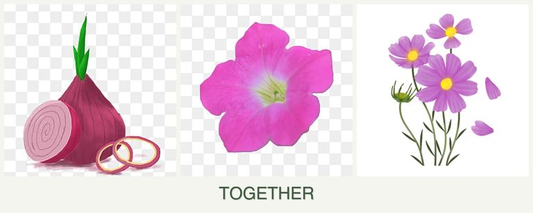 Can you plant onions, petunias and cosmos together?