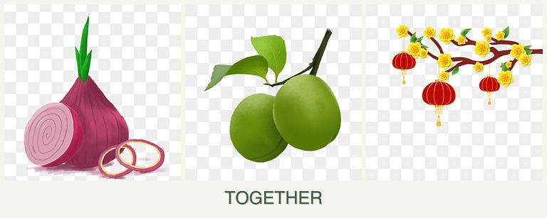 Can you plant onions, plums and apricots together?