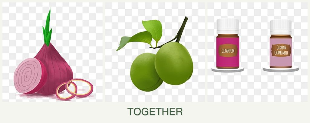Can you plant onions, plums and geraniums together?