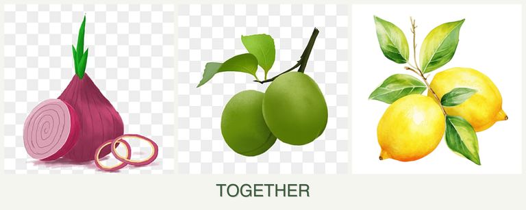 Can you plant onions, plums and lemons together?