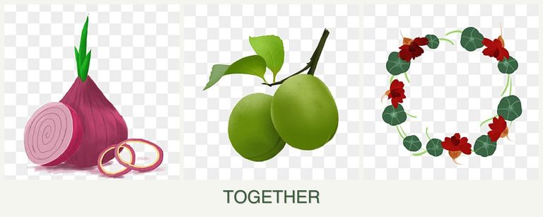 Can you plant onions, plums and nasturtiums together?
