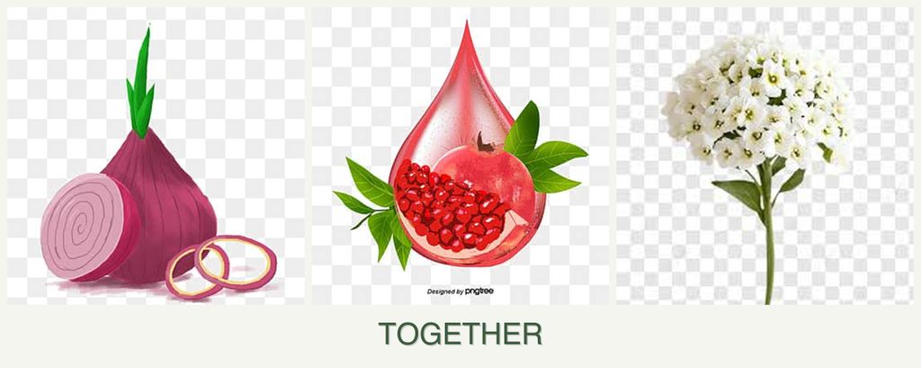 Can you plant onions, pomegranates and alyssum together?