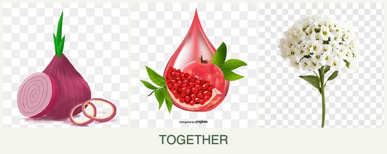Can you plant onions, pomegranates and alyssum together?