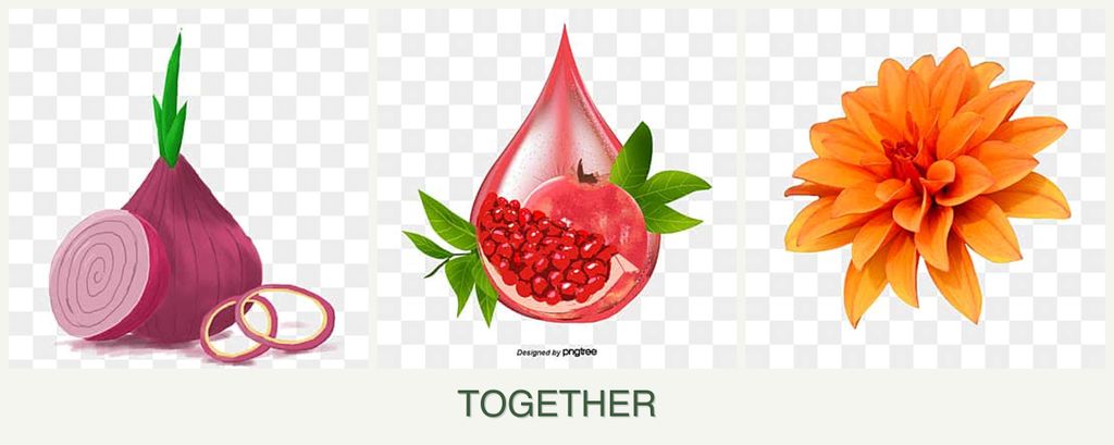 Can you plant onions, pomegranates and dahlias together?