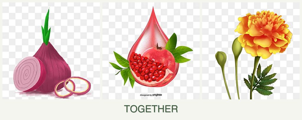 Can you plant onions, pomegranates and marigolds together?