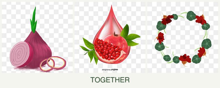 Can you plant onions, pomegranates and nasturtiums together?